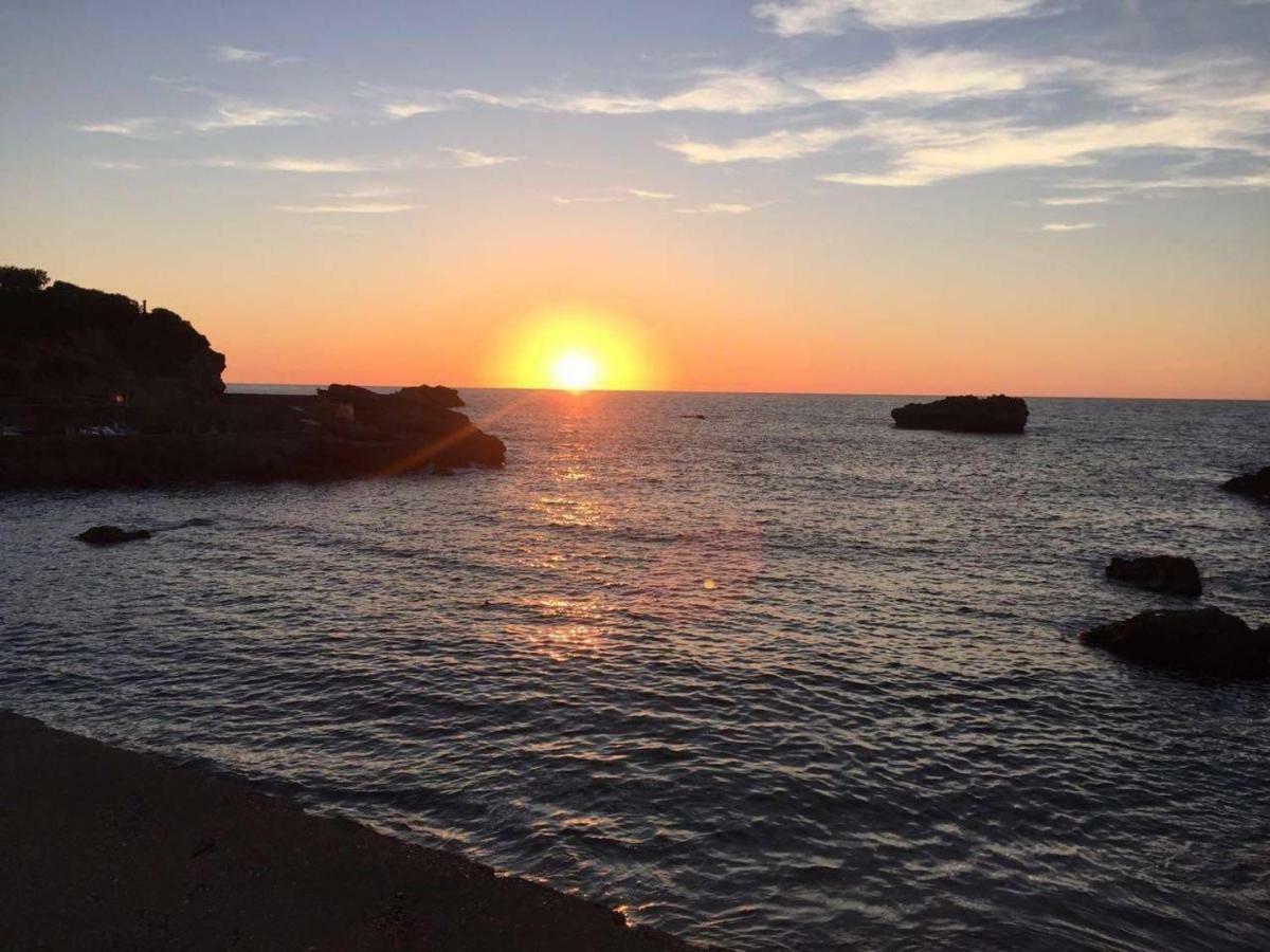 Petit Appartement Douillet Tres Bien Situe Biarritz Exteriör bild