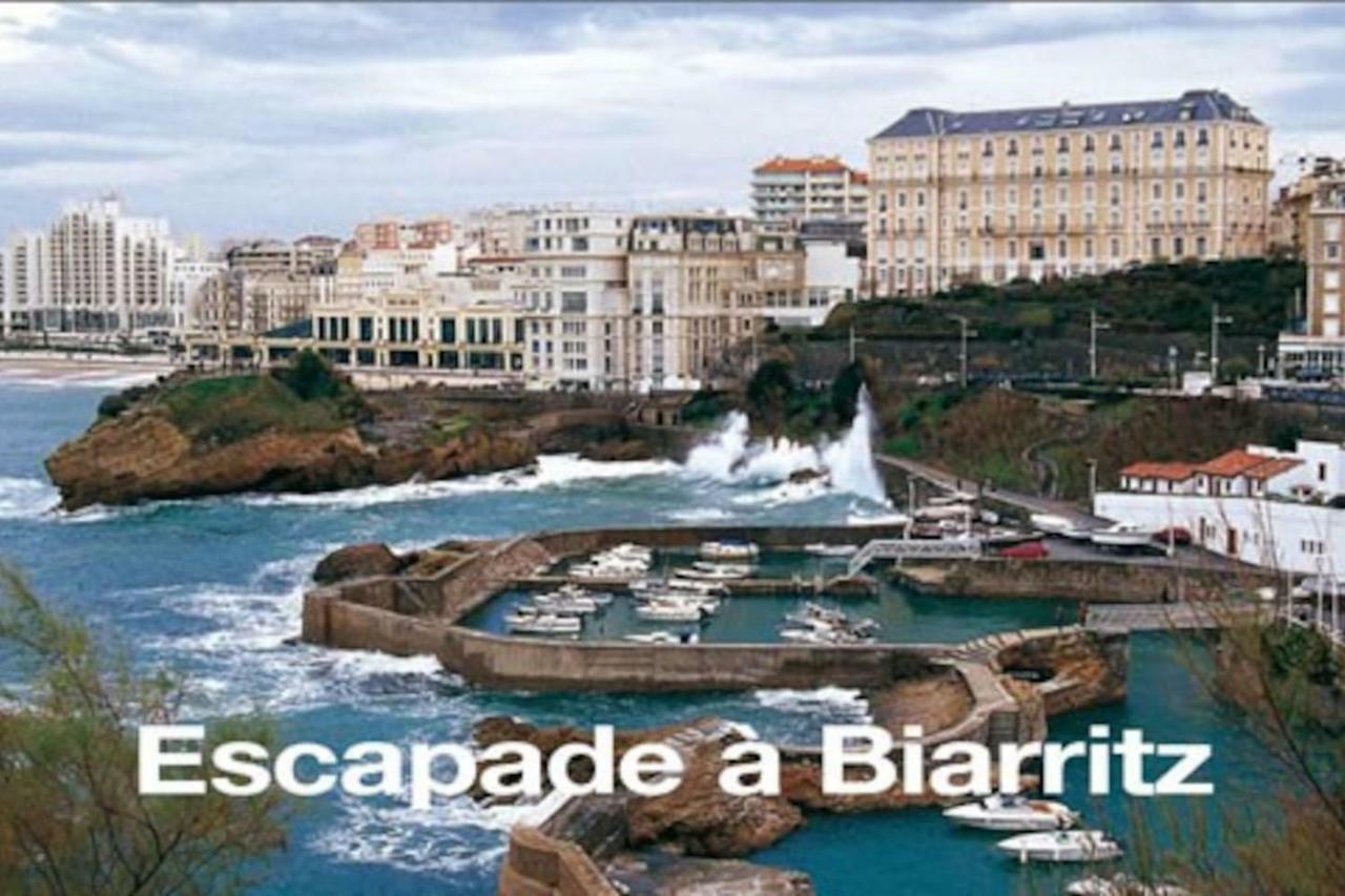 Petit Appartement Douillet Tres Bien Situe Biarritz Exteriör bild